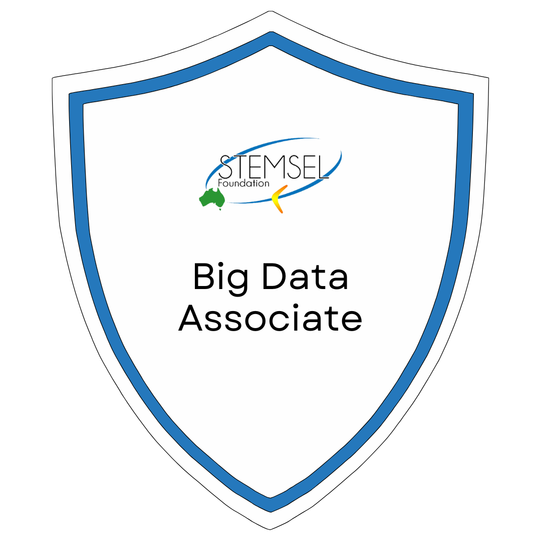[Pelatihan + International Certification] Certification STEMSEL Big Data Associate