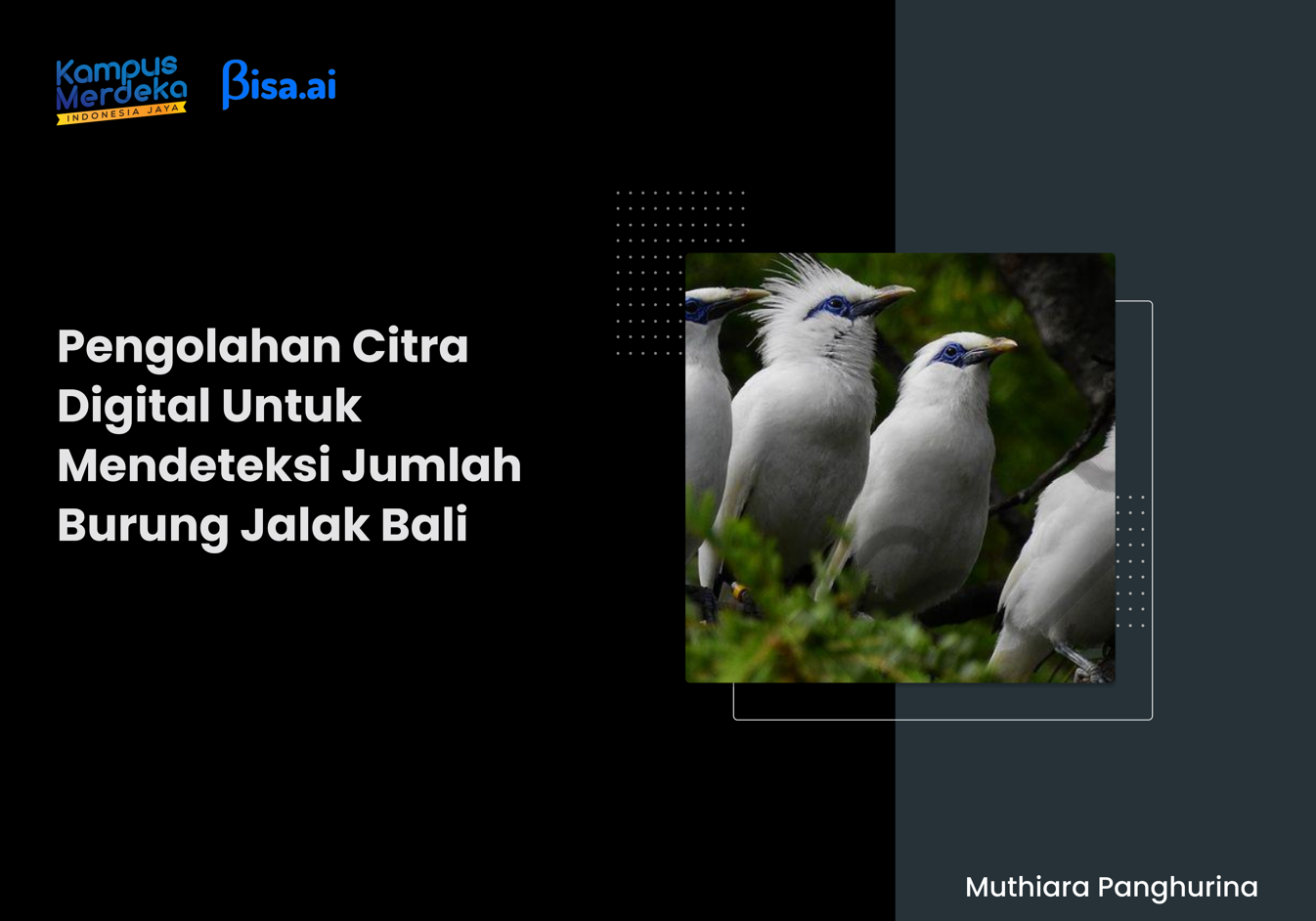 First slide