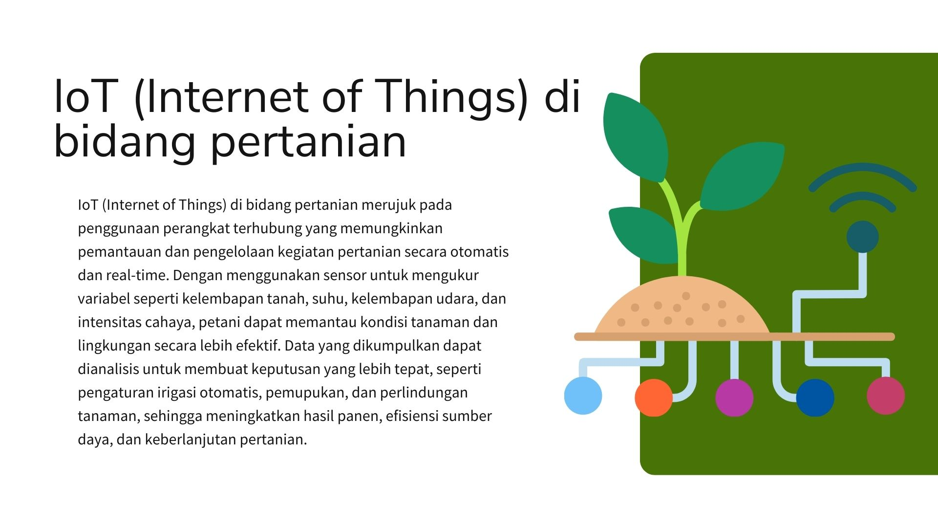 First slide