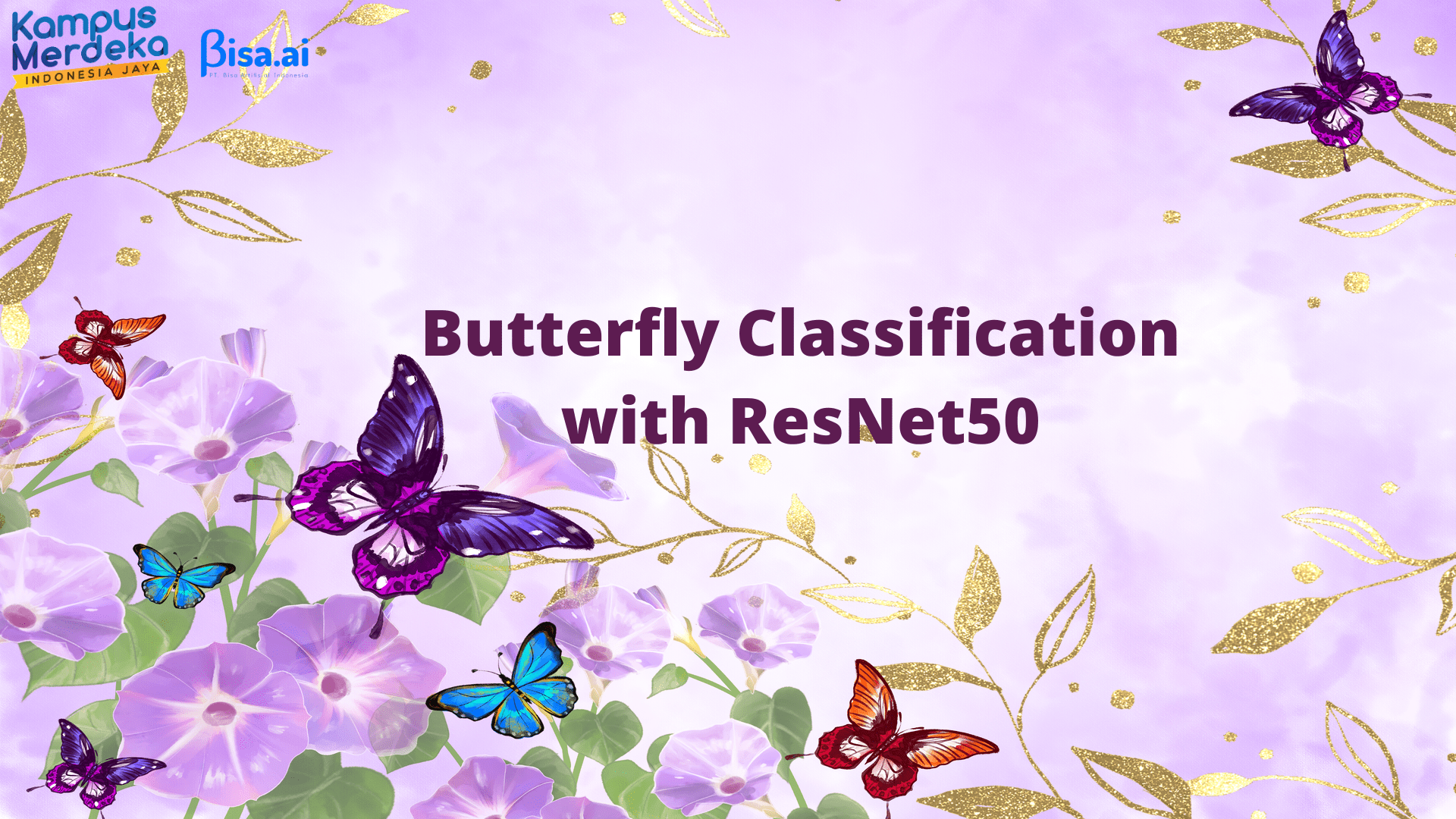 Portofolio Detail >> Butterfly Classification with ResNet50